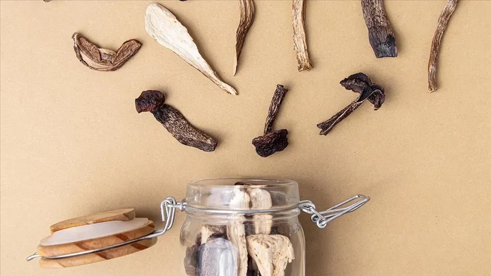 Jak zrobić sos grzybowy z suszonych grzybów - proste przepisy i porady